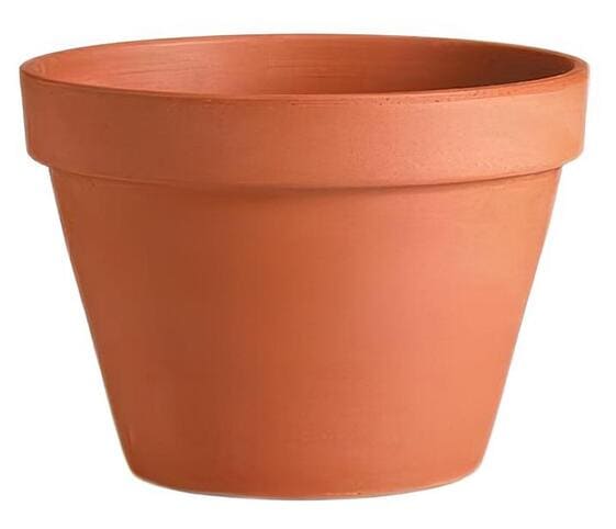 Flower Pot Flower Pot