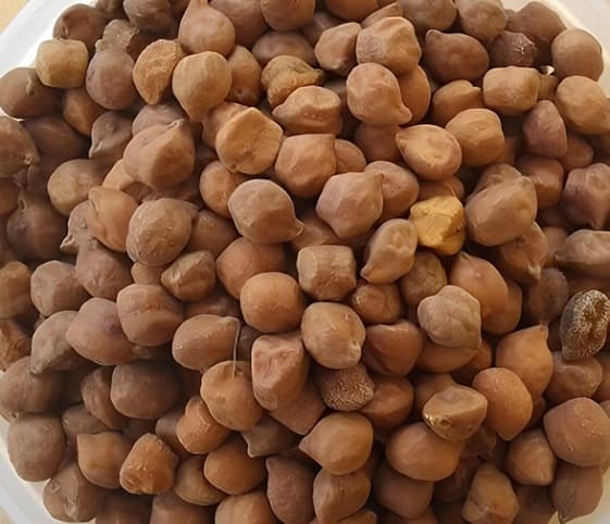 Bengal Gram Bengal Gram in category of grains and pulses