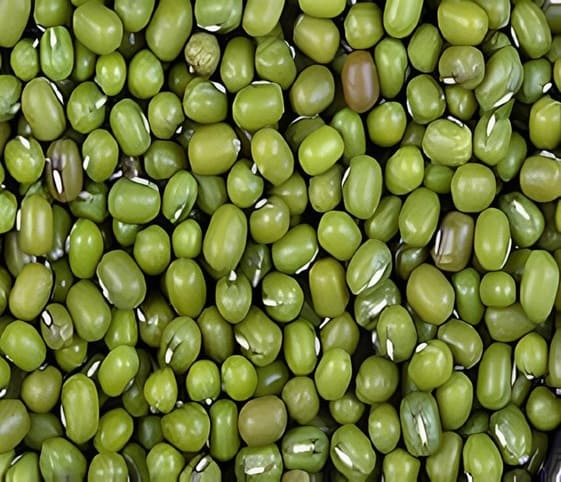 Green Beans/Grams Green Beans in category of grains and pulses
