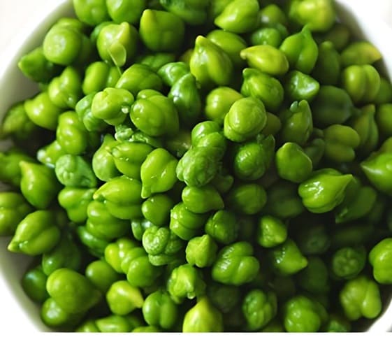 Green Bengal Gram Green Bengal Gram in category of grains and pulses
