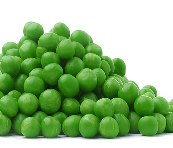 Green Pea Green Pea in category of grains and pulses