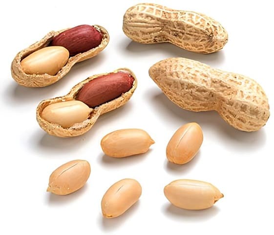 Groundnut/Peanut A close-up of peanuts on a white background.