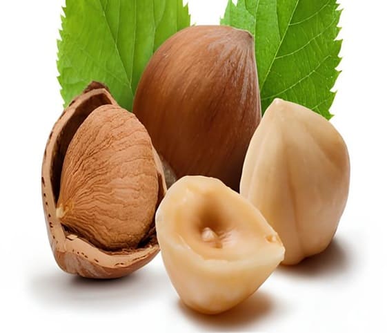 Hazelnut A close-up of hazelnuts surrounded by a vibrant green leaf.