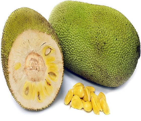 A close-up of jackfruit, highlighting its multifaceted applications in various dishes and culinary traditions