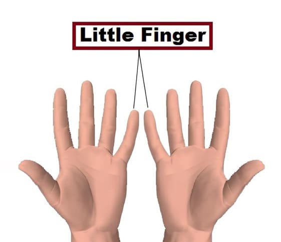 Little Finger Two fingers of hands are directed at the words little finger.