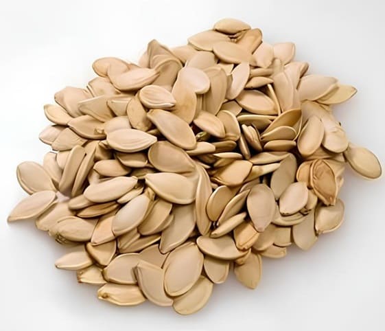 Muskmelon Seeds A detailed view of muskmelon seeds.