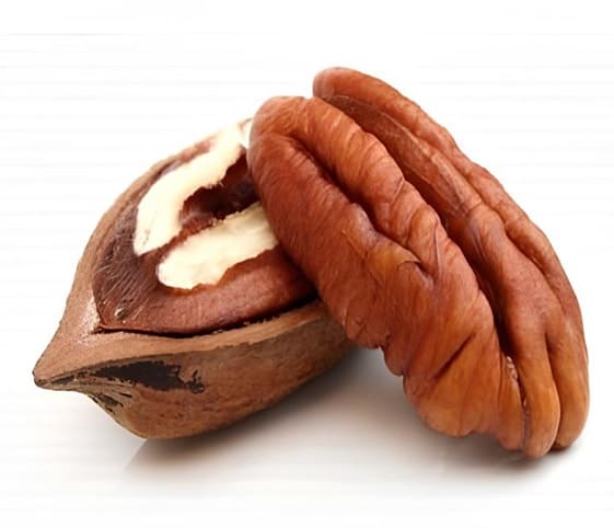 Pecan A single pecan nut displayed prominently against a clean white background.