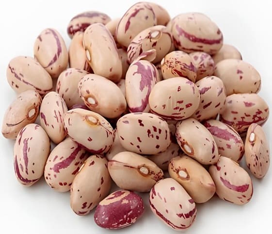 Pinto Beans Pinto Beans in category of grains and pulses