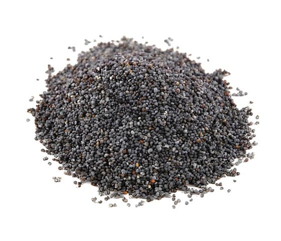 Poppy Seeds Poppy seeds isolated on a white background.