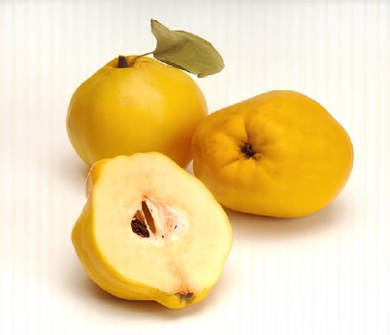 A close-up of a yellow quince fruits.