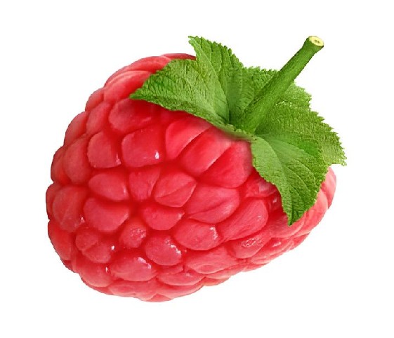 A single raspberry displayed prominently against a clean white background