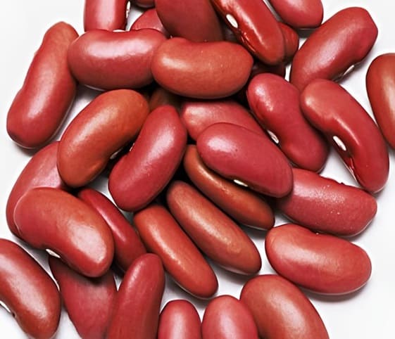 Red Kidney Beans Red Kidney Beans in category of grains and pulses