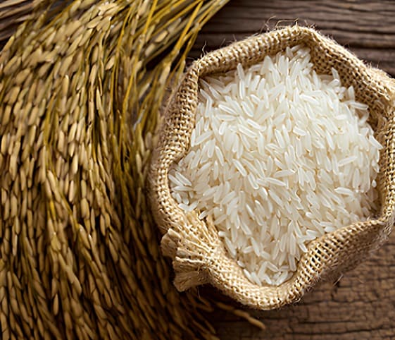 Rice Rice in category of grains and pulses