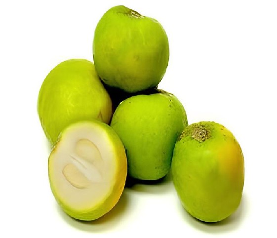 A collection of sapote fruits arranged on a clean white background.