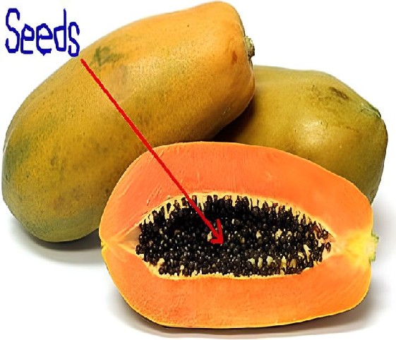 Close-up of papaya seeds displayed alongside the word 