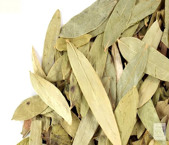 Senna Leaves A pile of dried senna leaves arranged on a clean white surface.