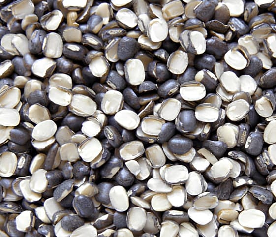 Skinned Black Gram Skinned Black Gram in category of grains and pulses
