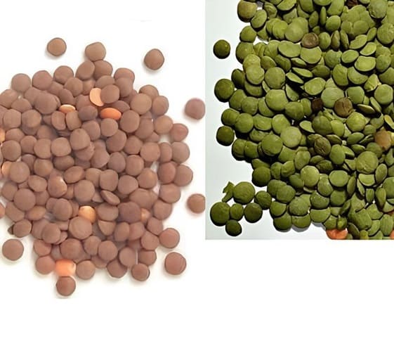 Skinned Lentil Skinned Lentil in category of grains and pulses