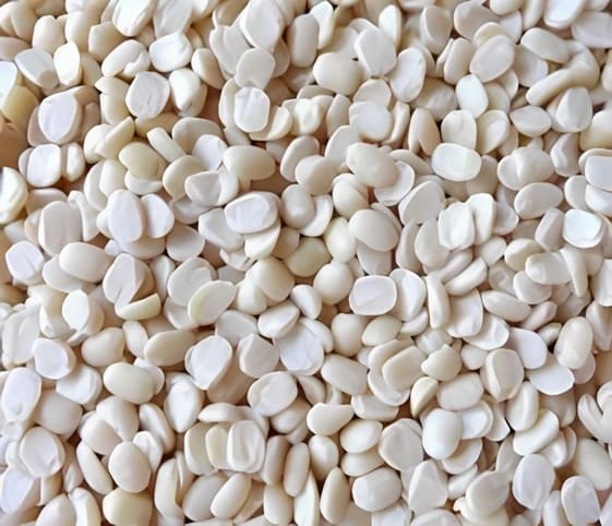 Split Black Gram Split Black Gram in category of grains and pulses