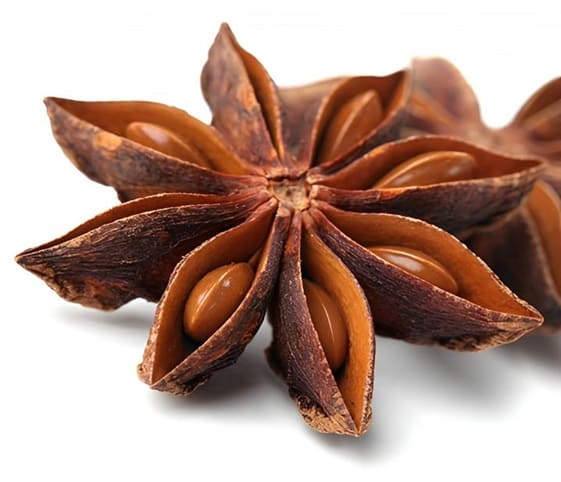 Star Anise Star anise with its seeds displayed on a white background.