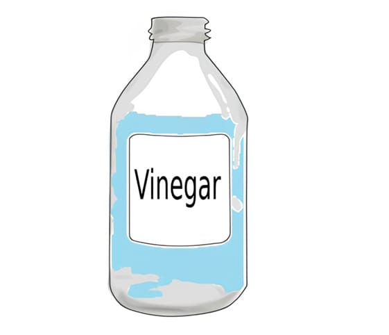 Vinegar A clear bottle of vinegar prominently labeled with the word Vinegar on its front.