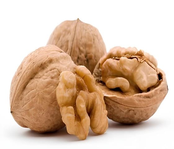 Walnut A collection of walnuts displayed on a clean white background.