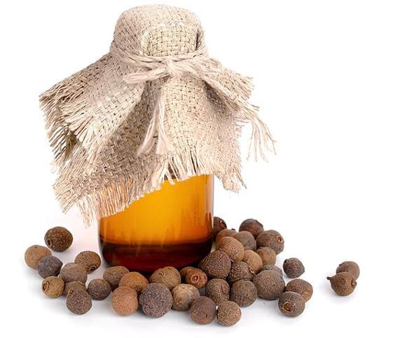 Allspice/Pimento Oil Allspice Oil