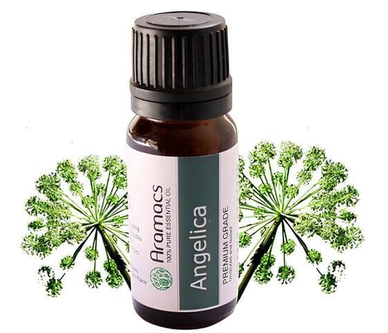 Angelica Oil Angelica Oil
