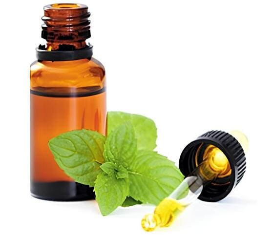 Basil Oil Basil Oil
