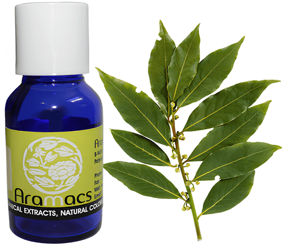 Bay Leaf Oil Bay Leaf Oil