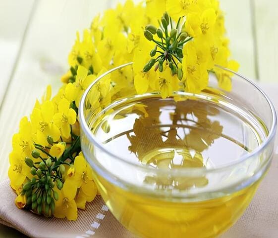 Canola Oil Canola Oil