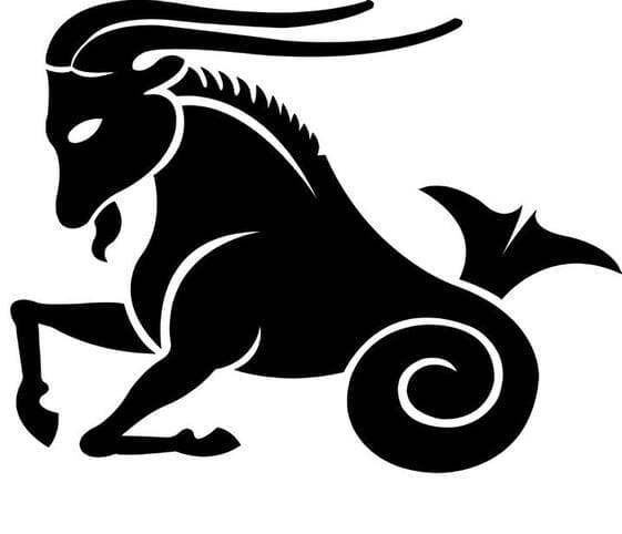 Capricorn Capricorn