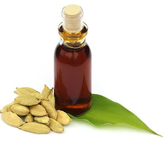 Cardamom Oil Cardamom Oil