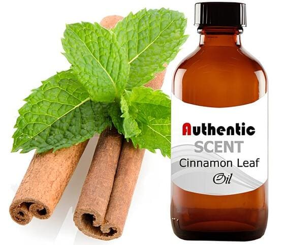 Cinnamon Leaf Oil Cinnamon Leaf Oil