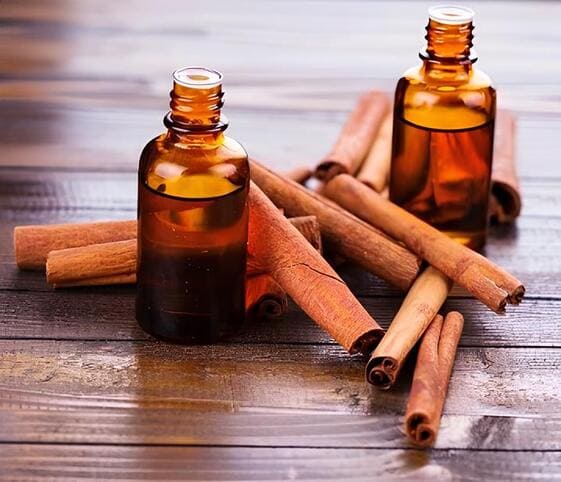 Cinnamon/Cassia Oil Cinnamon Oil