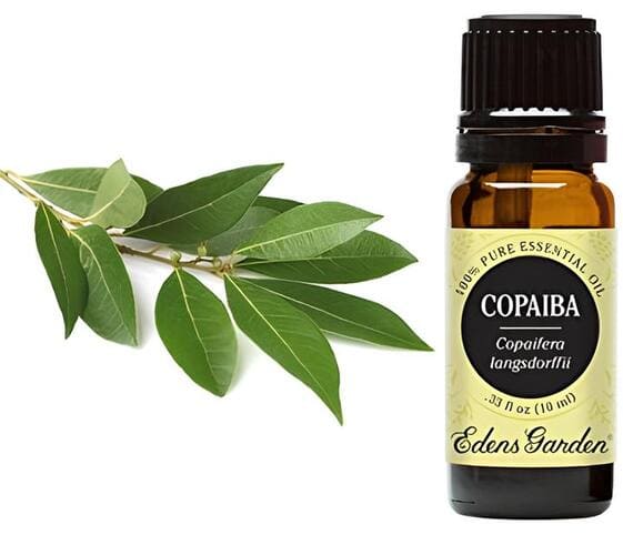 Copaiba Oil Copaiba Oil