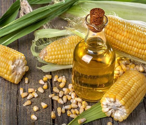 Corn Oil Corn Oil