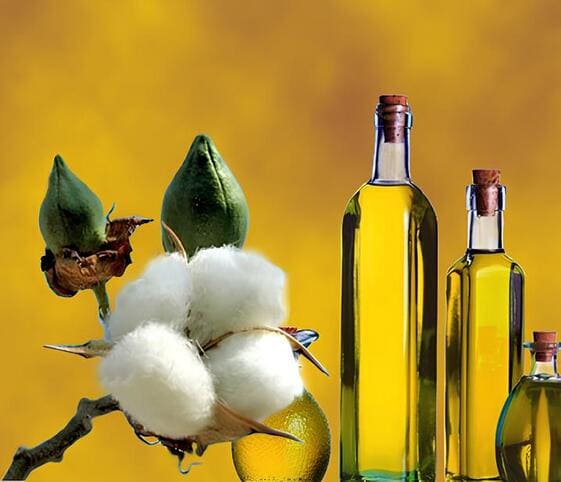 Cottonseed Oil Cottonseed Oil