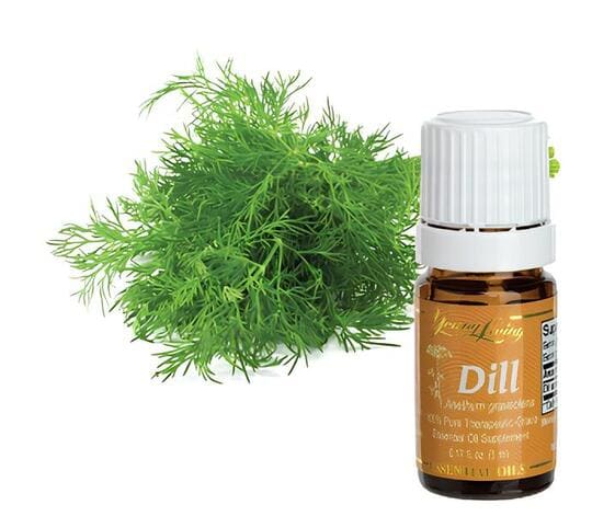Dill Oil Dill Oil