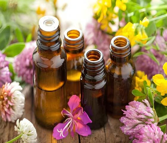 Essential Oils Essential Oil