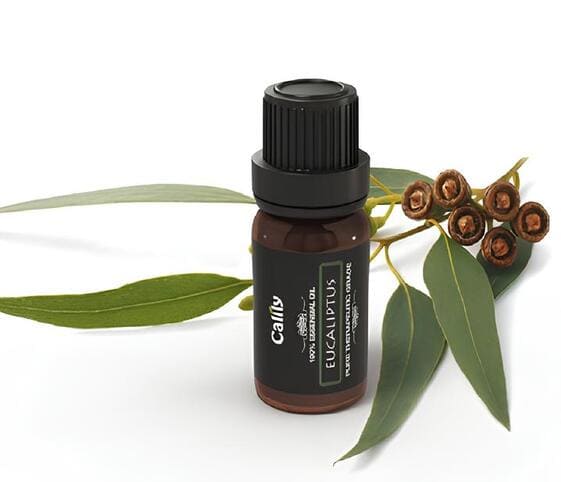 Eucalyptus Oil Eucalyptus Oil