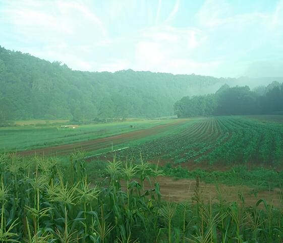 Farm Farm