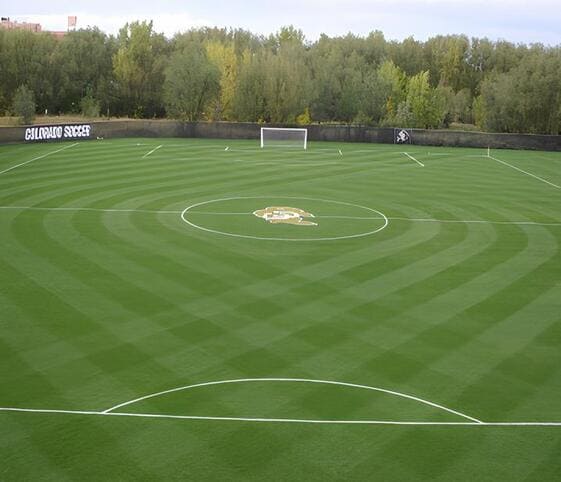 Field Field
