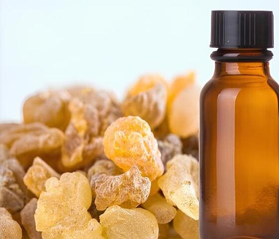 Frankincense Oil Frankincense Oil