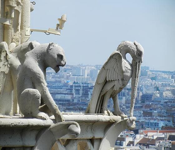 Gargoyle Gargoyle