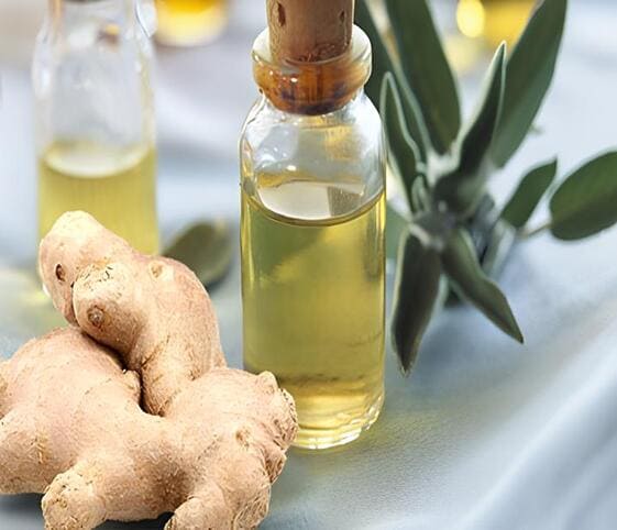 Ginger Oil Ginger Oil