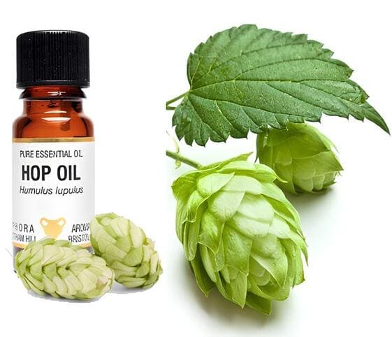 Hops Oil Hops Oil