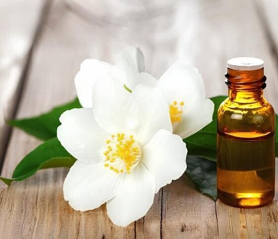 Jasmine Oil Jasmine Oil