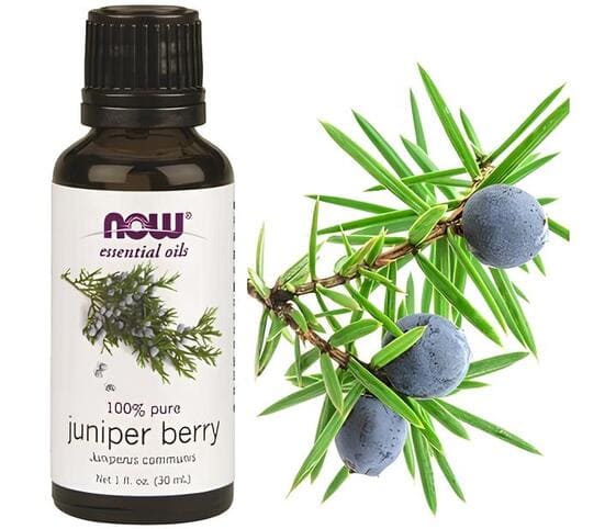Juniper Berry Oil Juniper Berry Oil