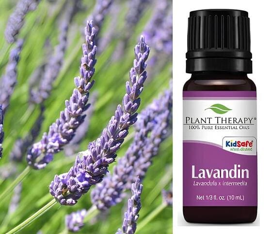 Lavandin Oil Lavandin Oil